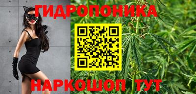 индика Комсомольск-на-Амуре