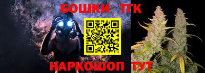 индика Комсомольск-на-Амуре