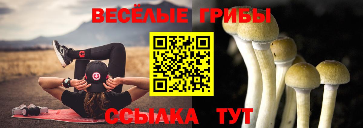Псилоцибиновые грибы MAGIC MUSHROOMS  Вход с VPN  Псилоцибиновые грибы MAGIC MUSHROOMS  Канаш 